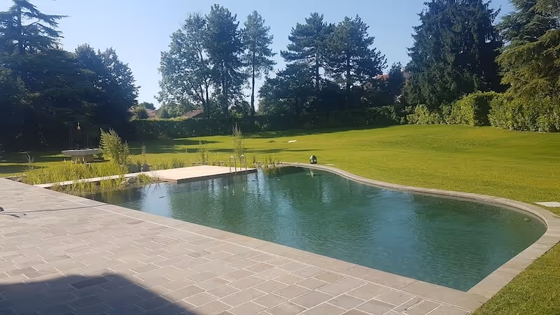 Dettaglio del progetto Realizzazione Biolaghi e Biopiscine realizzato da LS Giardini