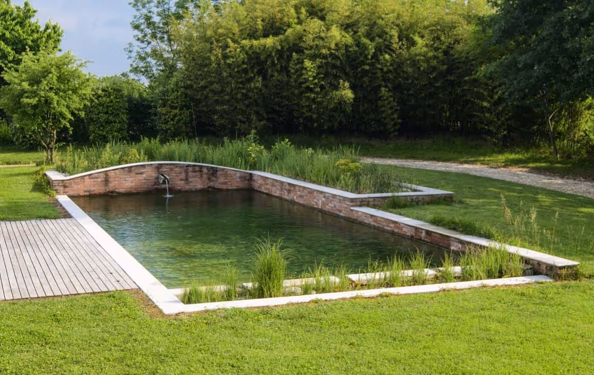 Dettaglio del progetto Realizzazione Biolaghi e Biopiscine realizzato da LS Giardini