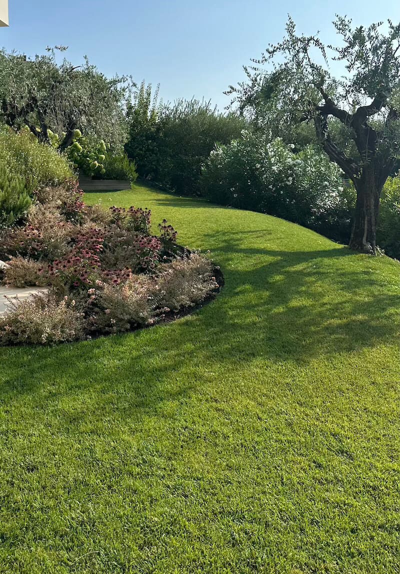 Dettaglio di un giardino curato da LS Giardini