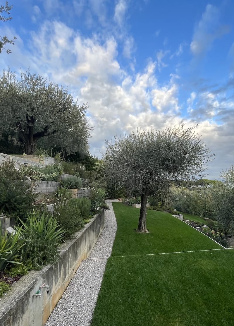 Dettaglio di un giardino curato da LS Giardini
